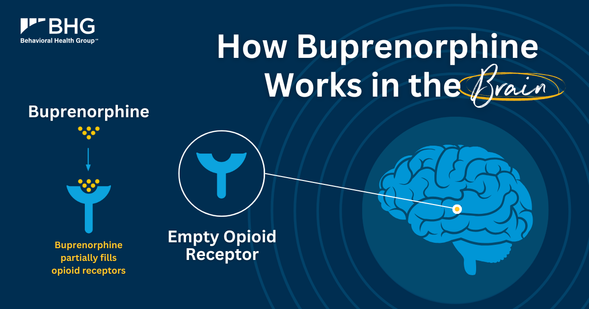 Educational graphic titled "How Buprenorphine Works in the Brain," showing a brain and a visual of buprenorphine partially binding to opioid receptors, which helps reduce cravings and withdrawal symptoms.