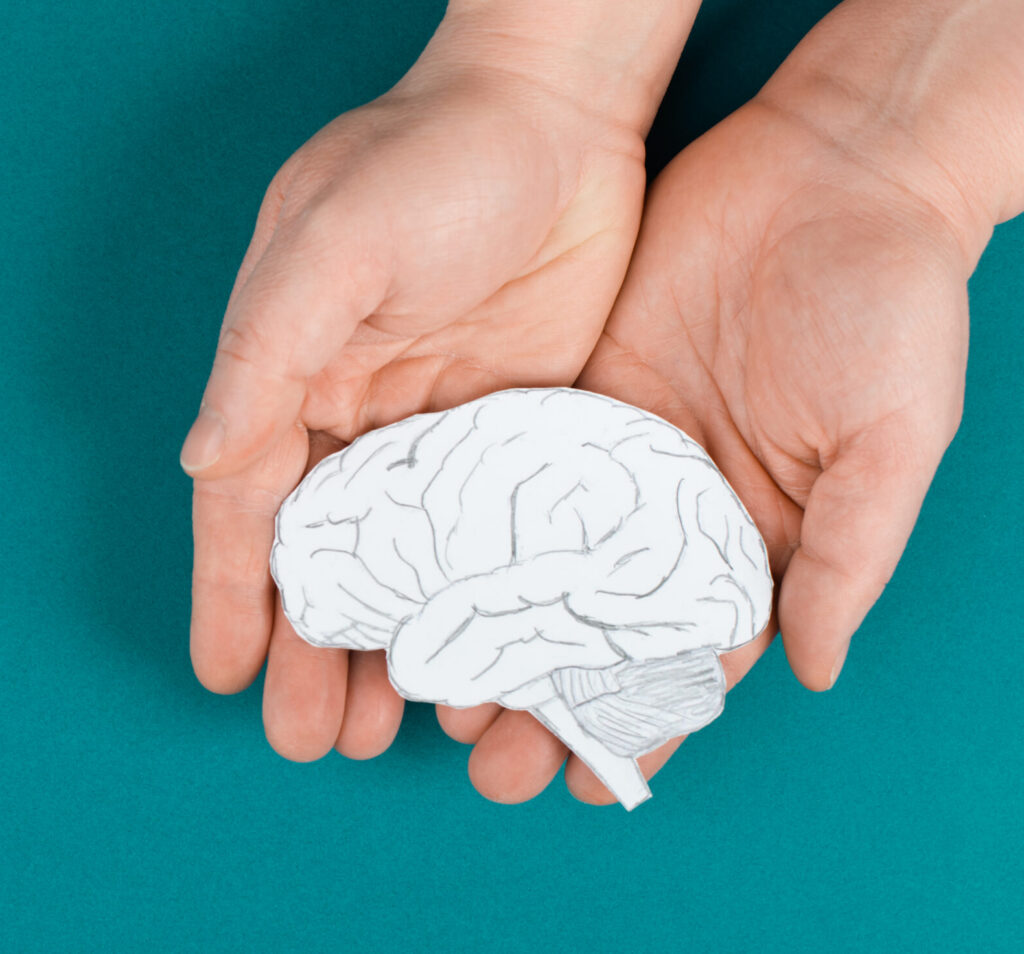 Hand holding drawning of brain